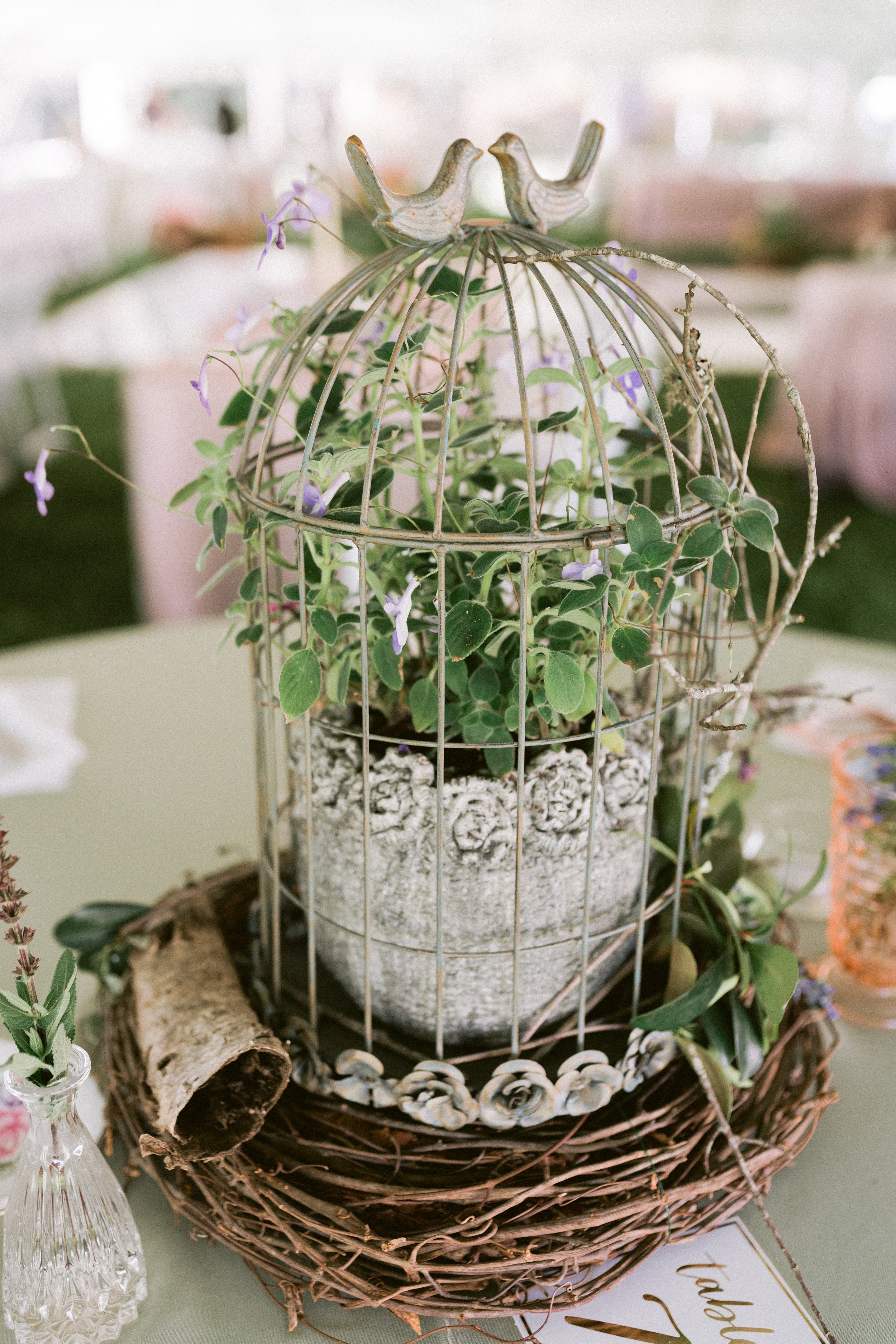 Historic-Wedding-Venue-in-South-Carolina-Bird-Cage-Table-Decor.jpg