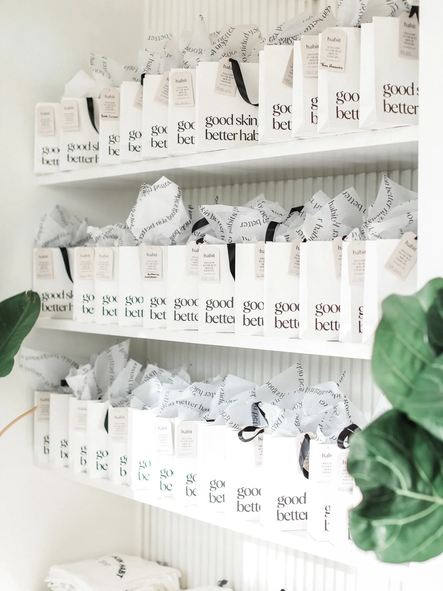 If you have been notified that your order is ready this is a reminder to pick it up. 🖤

Also, just want to remind everyone that all of our brand partners shut down in January for inventory audits and warehouse maintenance. Shipping does take longer 