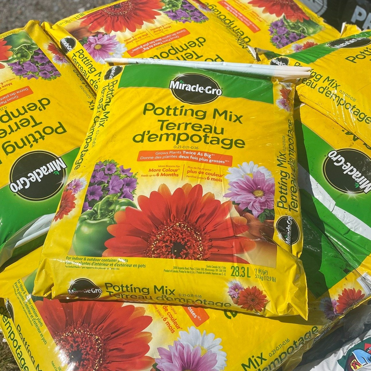 Discover the magic of Miracle-Gro Potting Mix! 🌱✨ Our premium blend is packed with benefits for your plants, providing the perfect balance of nutrients and moisture retention to help them thrive. From vibrant blooms to lush foliage, our potting mix 