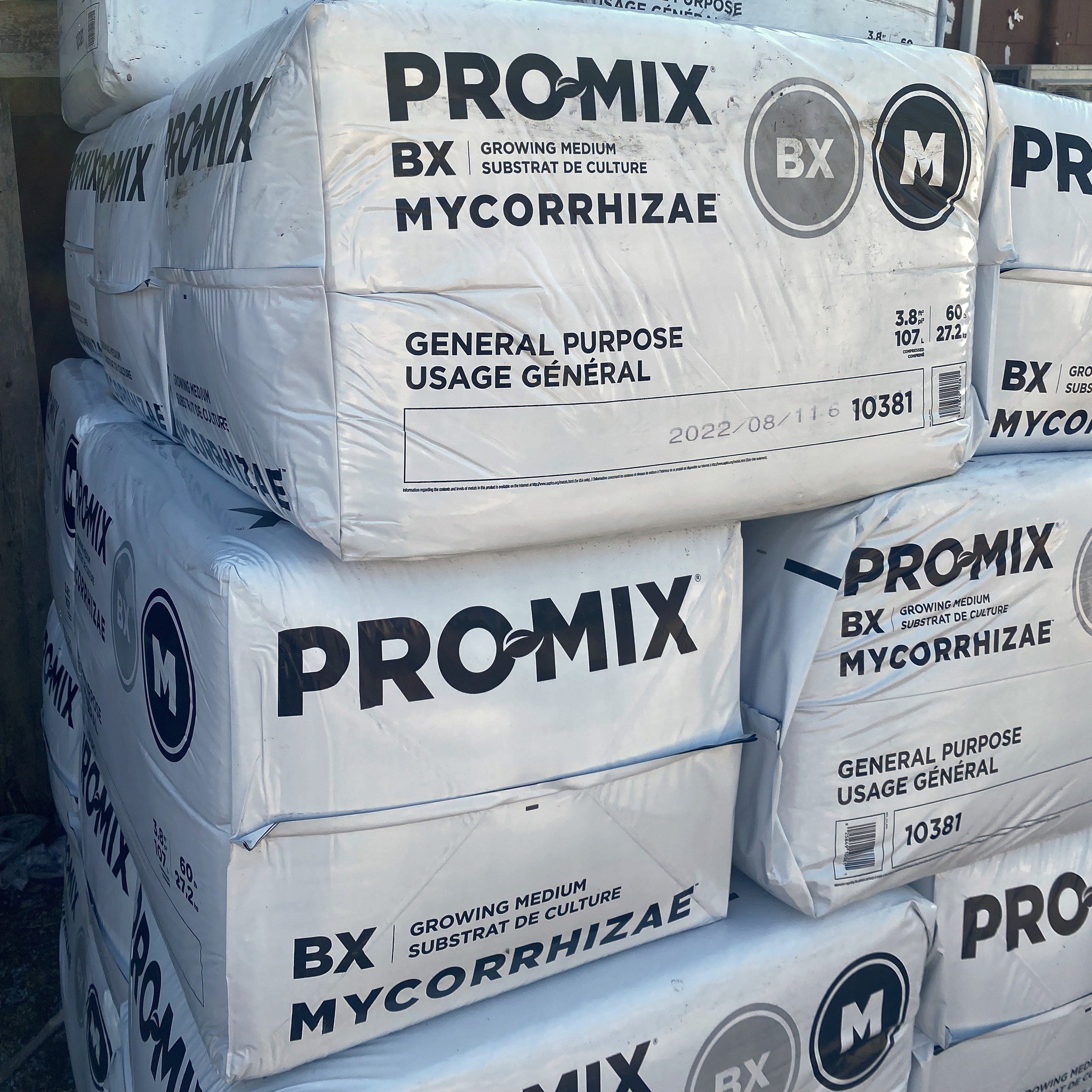 Hello #MycorrhizaeMonday
Unlock the full potential of your plants with Pro-Mix Mycorrhizae! 🌿✨ Enriched with beneficial mycorrhizal fungi, this premium growing medium promotes stronger root development, enhanced nutrient uptake, and improved plant r