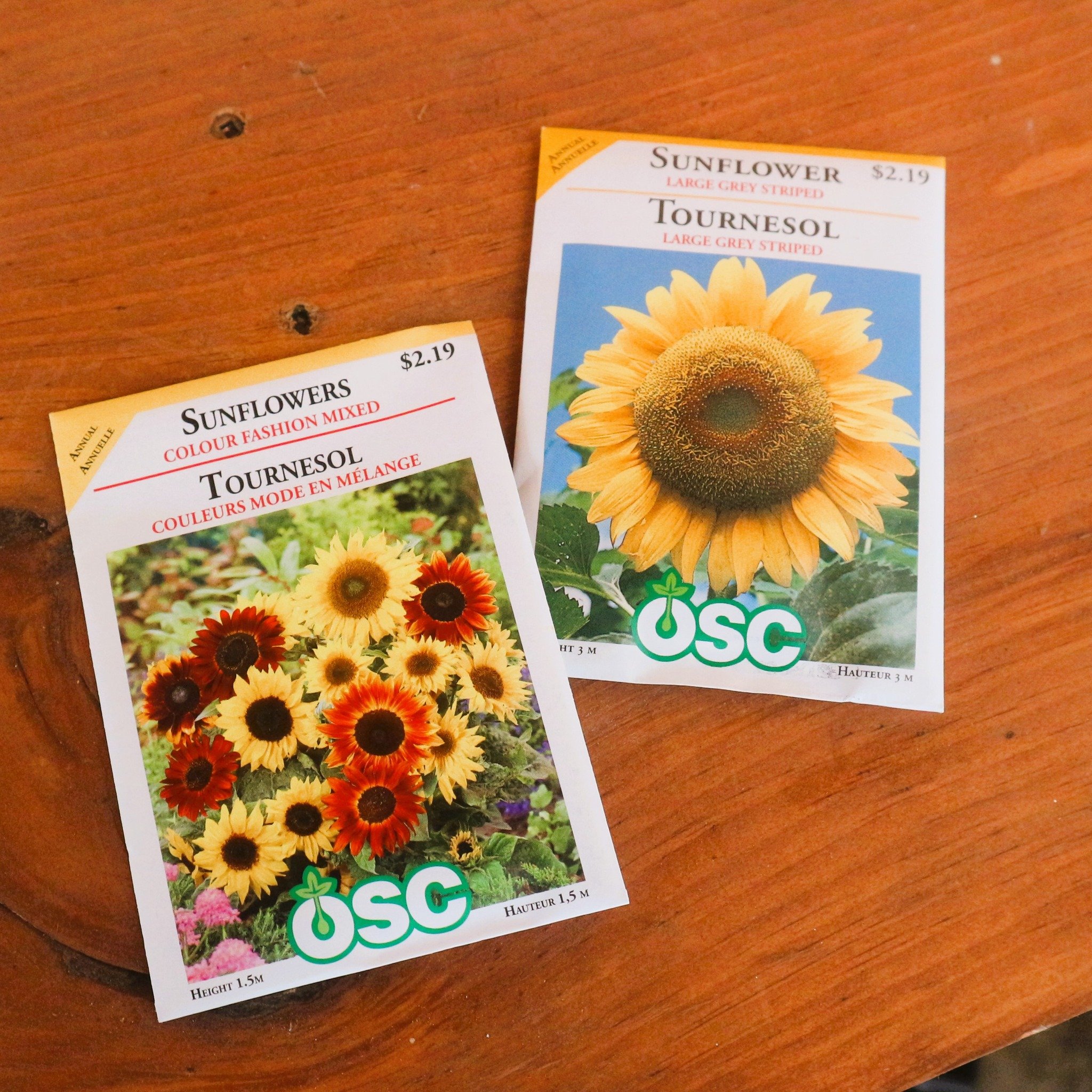 🌻🌞 Ready to grow your own sunshine? Come in and grab some sunflower seeds today! Whether you're brightening up your garden or spreading joy with vibrant blooms, sunflowers are the ultimate symbol of happiness. Let's sow some smiles together! #Sunfl