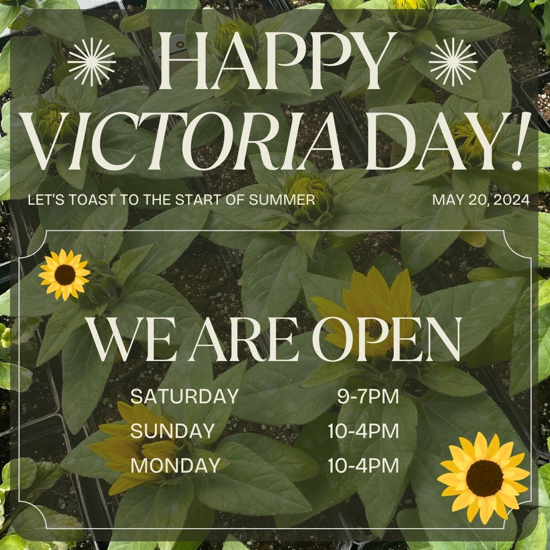 🌼 Happy Victoria Day long weekend! 🌿 Our garden centre is in full bloom and open for all your gardening needs! Come explore our selection and make your outdoor space shine this holiday weekend! 🌷