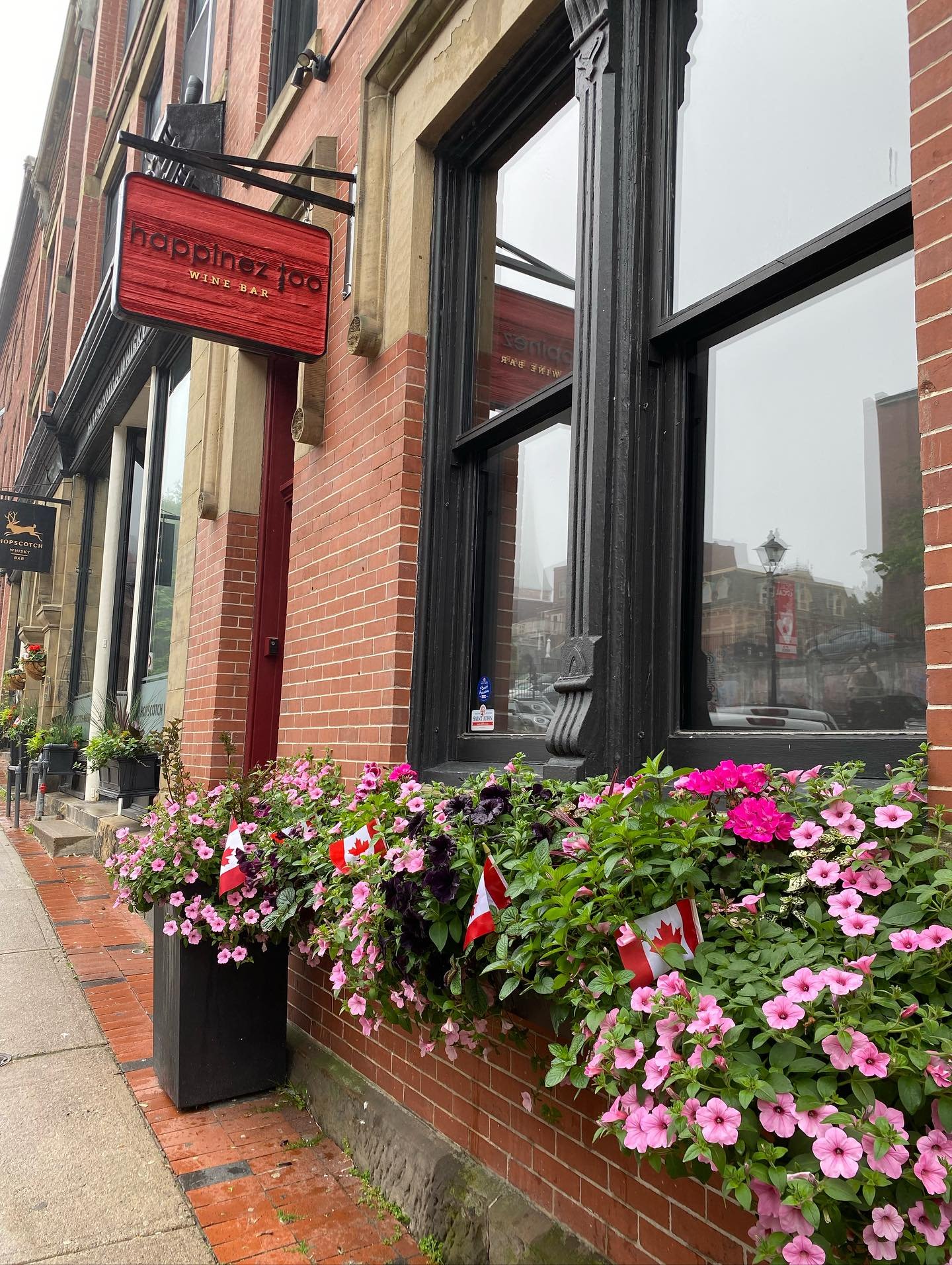 The flowers are in bloom at @happineztoo - scroll for some close ups of the beautiful flowers peaking out of their window boxes 🌸