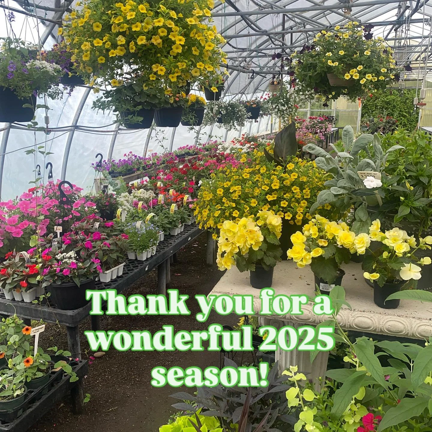 As our greenhouses are starting to wind down, we wanted to thank all of you who came to visit us this season. Our team loves to help with picking out flowers for your home, choosing the right perennials to enjoy for years and working with you on idea