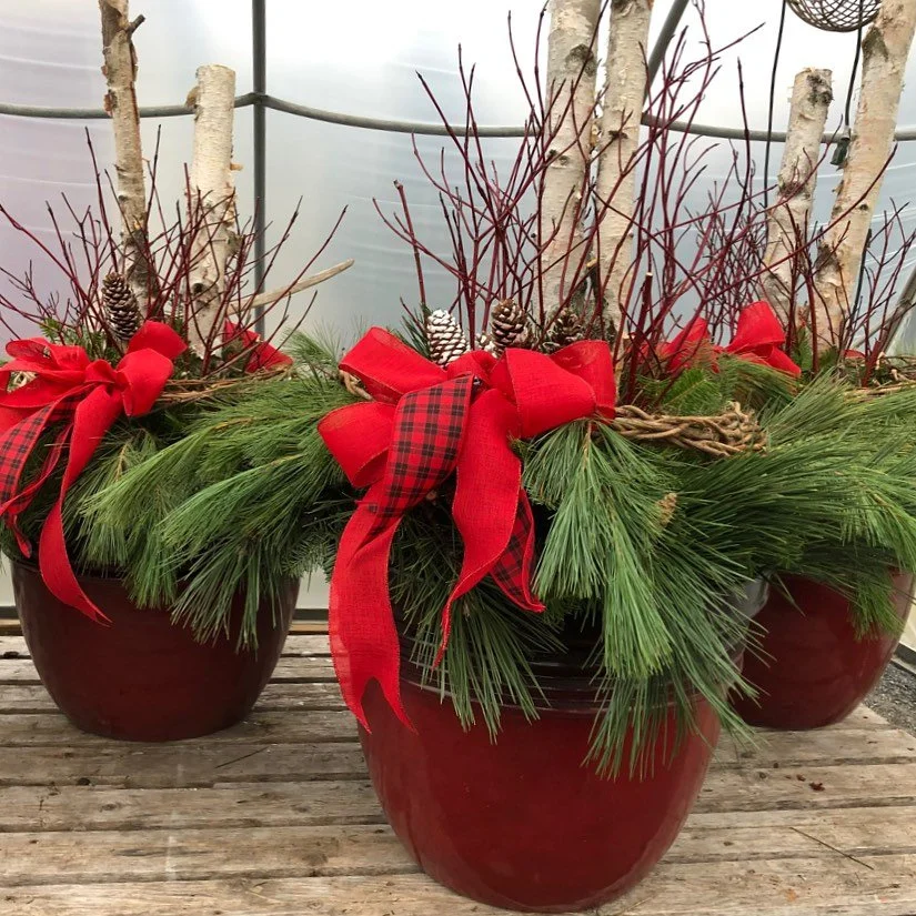 As we get into fall, when you’re ready to drop off your annual planters we’re here to dress them up for the holidays! We can design beautiful arrangements with your input or you can leave the design up to us 🎄