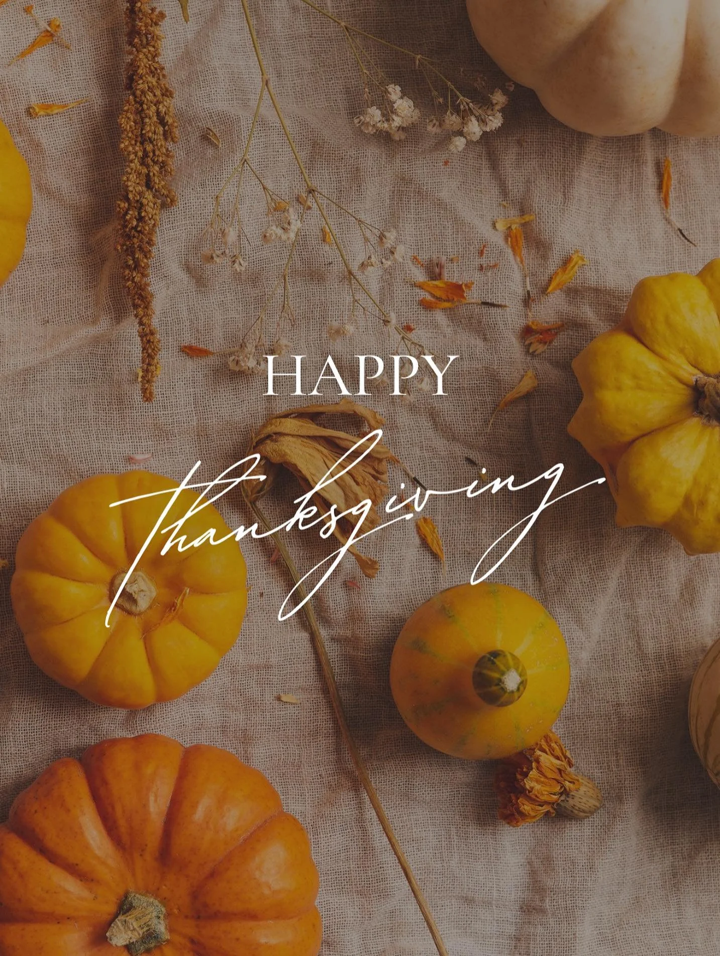 Happy thanksgiving from your friends at Shades of Green!