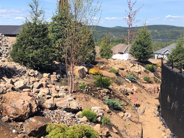 During Installation Privacy Berm With New Trees and Rocks. Grandbay-Westfield 2023