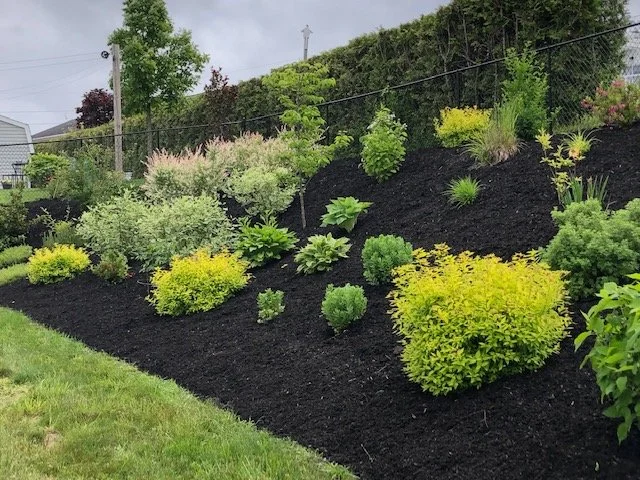 Perennial Garden Design. Grandbay-Westfield 2021