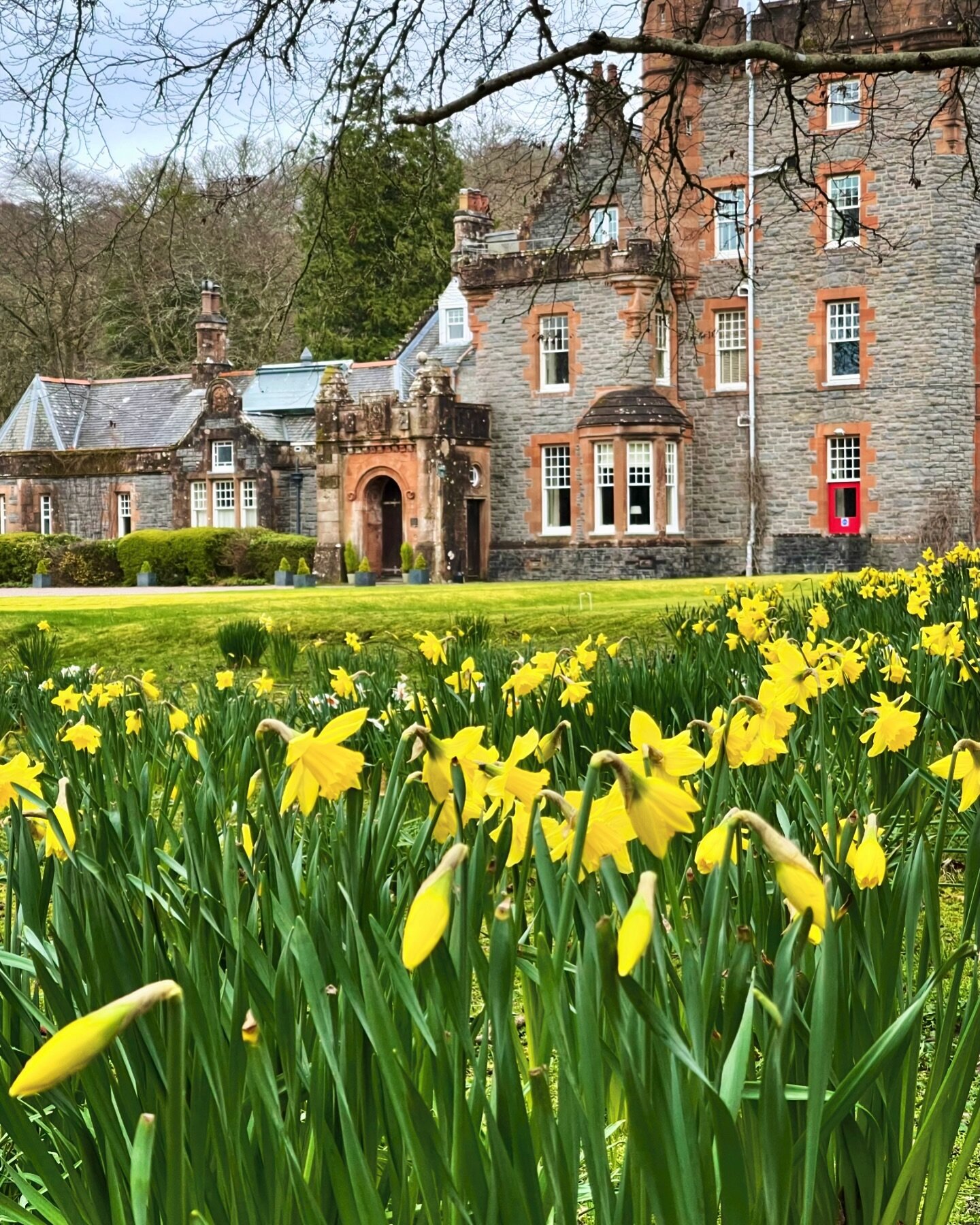 A little bit of spring in our step! Come and explore the awakening of our little island!!
#eriska #nature #spring #gardens #luxuryhotel