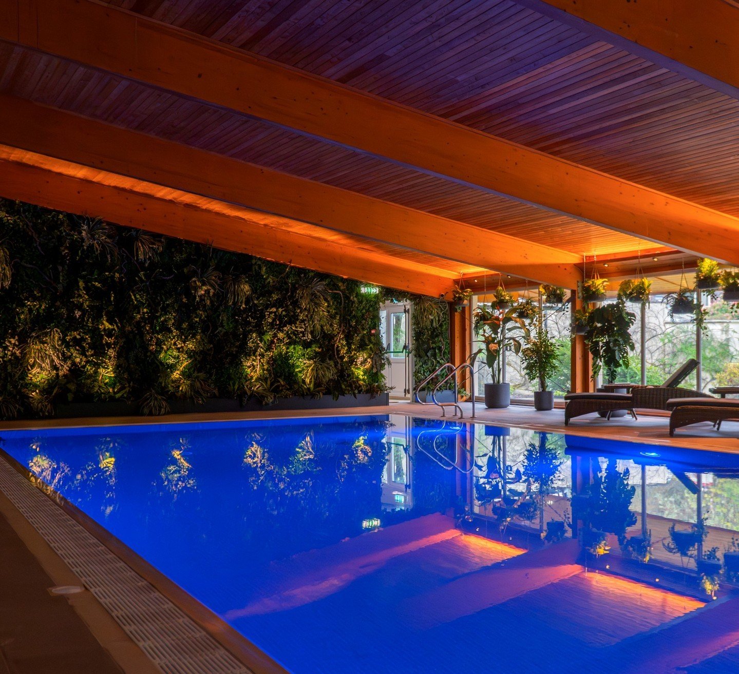 Feeling adventurous? Let's dive right in!

#eriska #luxuryhotel #vacation #spa #swimmingpool