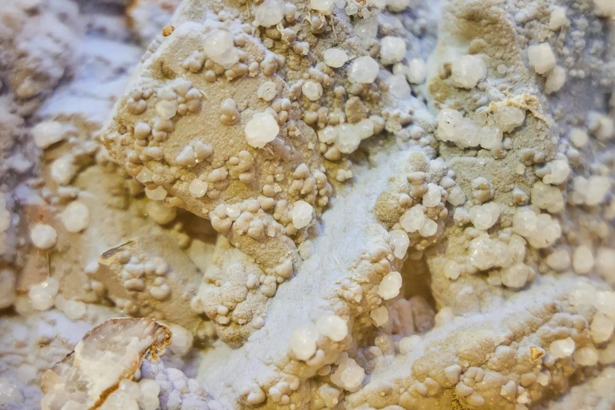 Mineralization