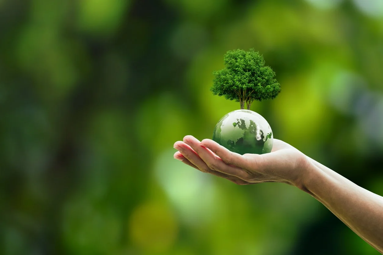 Carbon Cycle