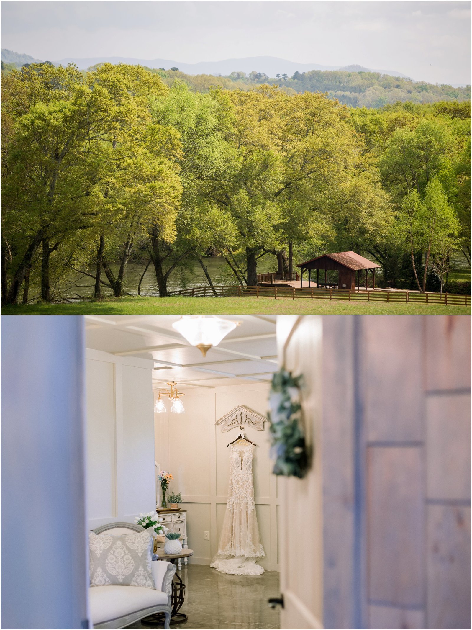 Trees in front of East Tennessee mountains