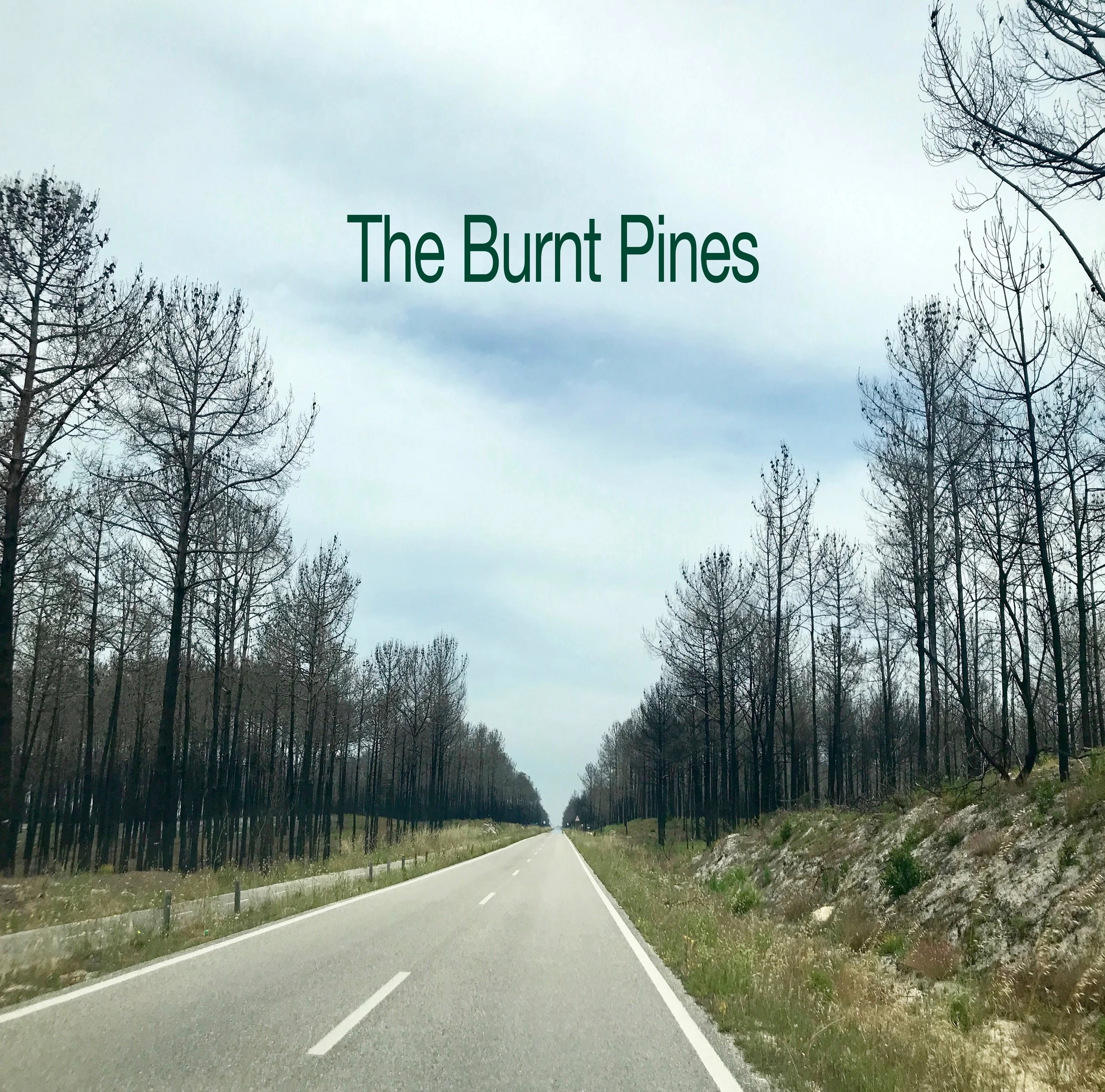 Burnt Pines-GRN_VER3.jpg