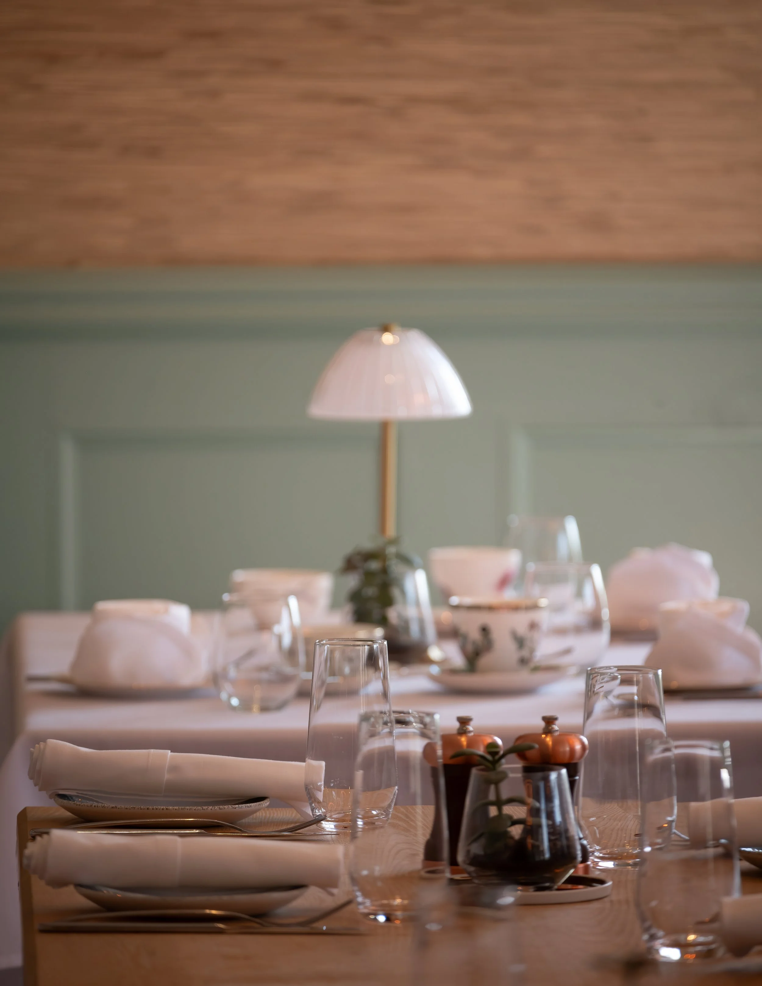 DSC_2566-Vineyard MH 01.jpg