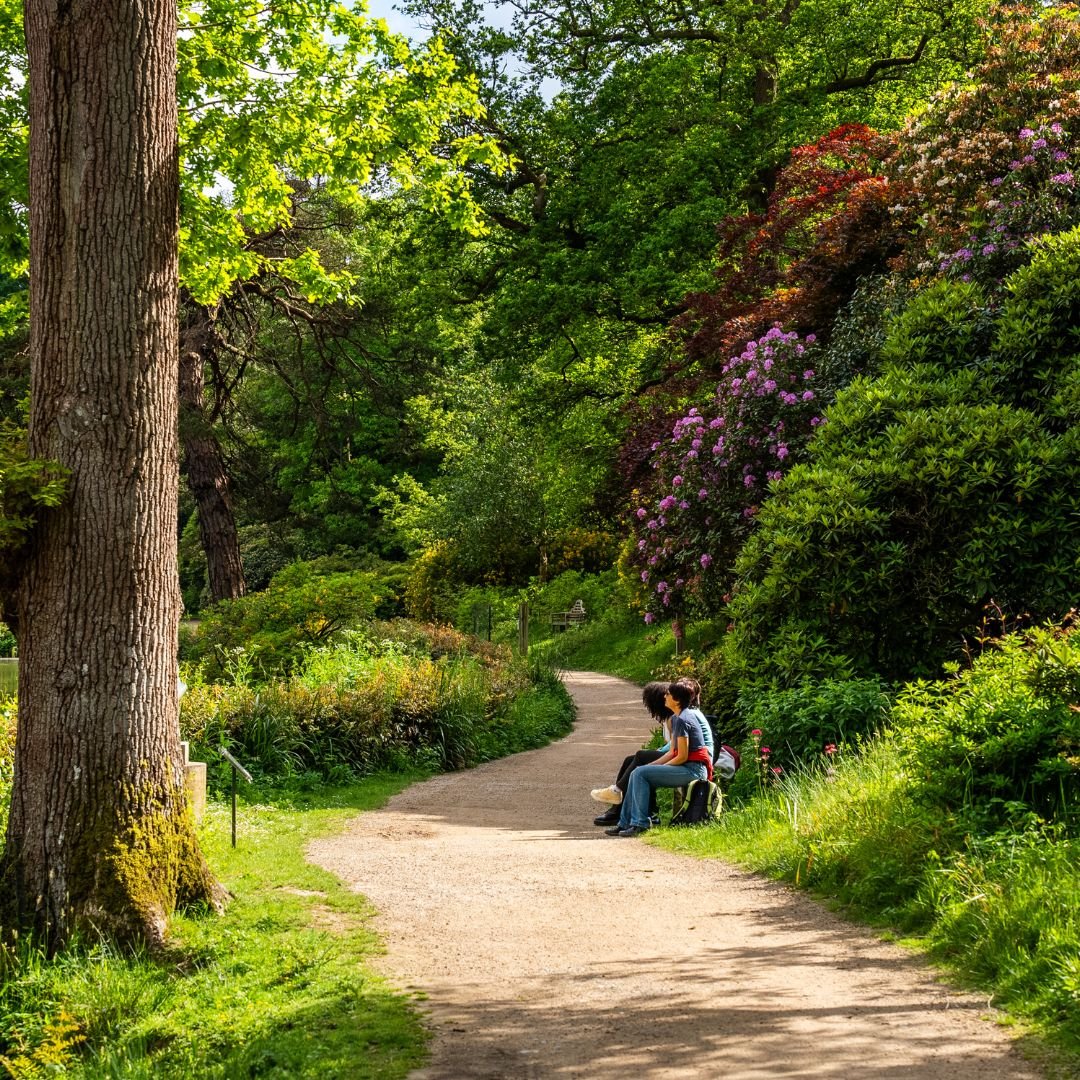 leonardslee-wine-estate-mothers-day-2026 (2).jpg