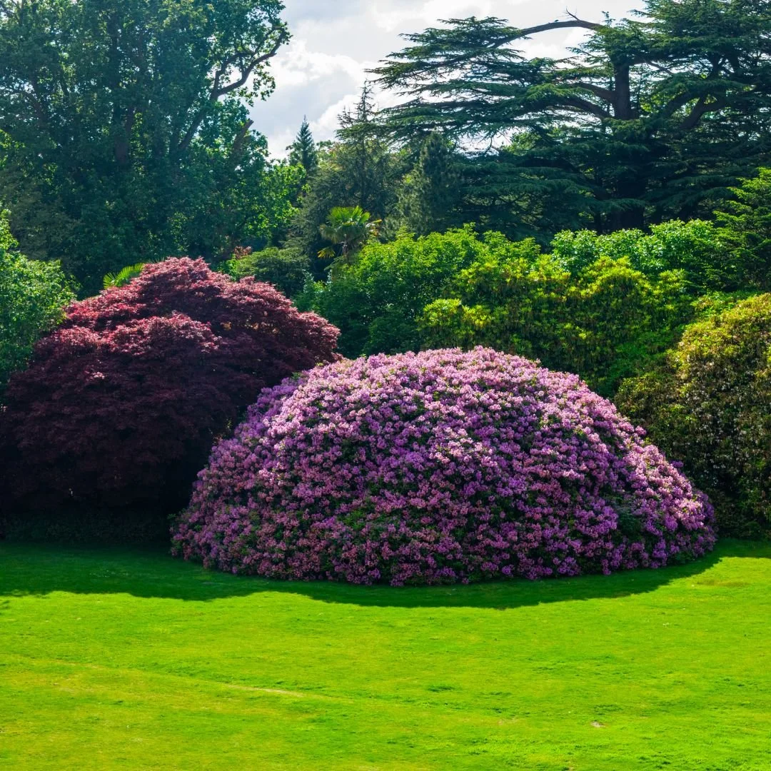 leonardslee-wine-estate-mothers-day-2026 (4).jpg