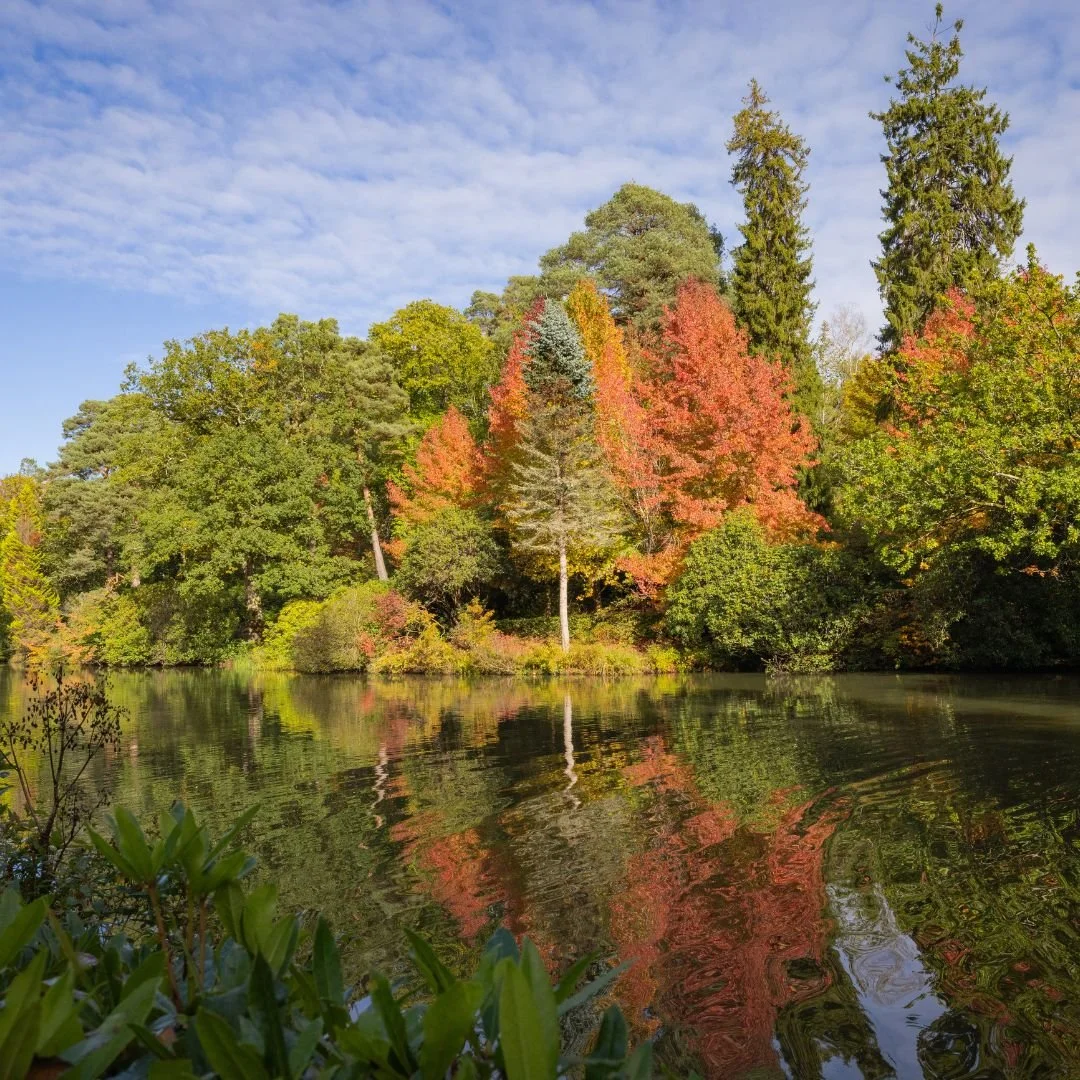 leonardslee-lakes-and-gardens (2).jpg