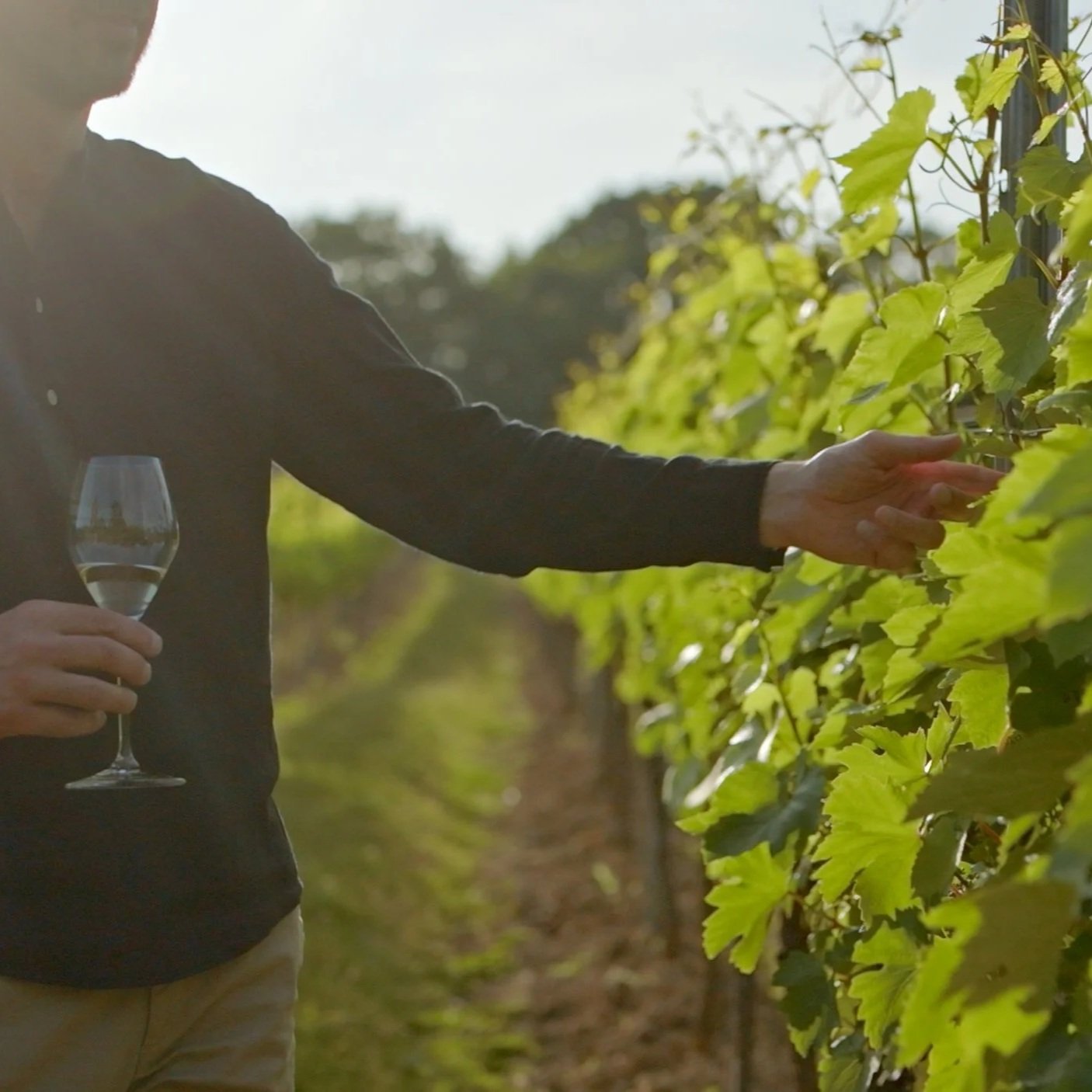 The Vineyard Hotel.jpg