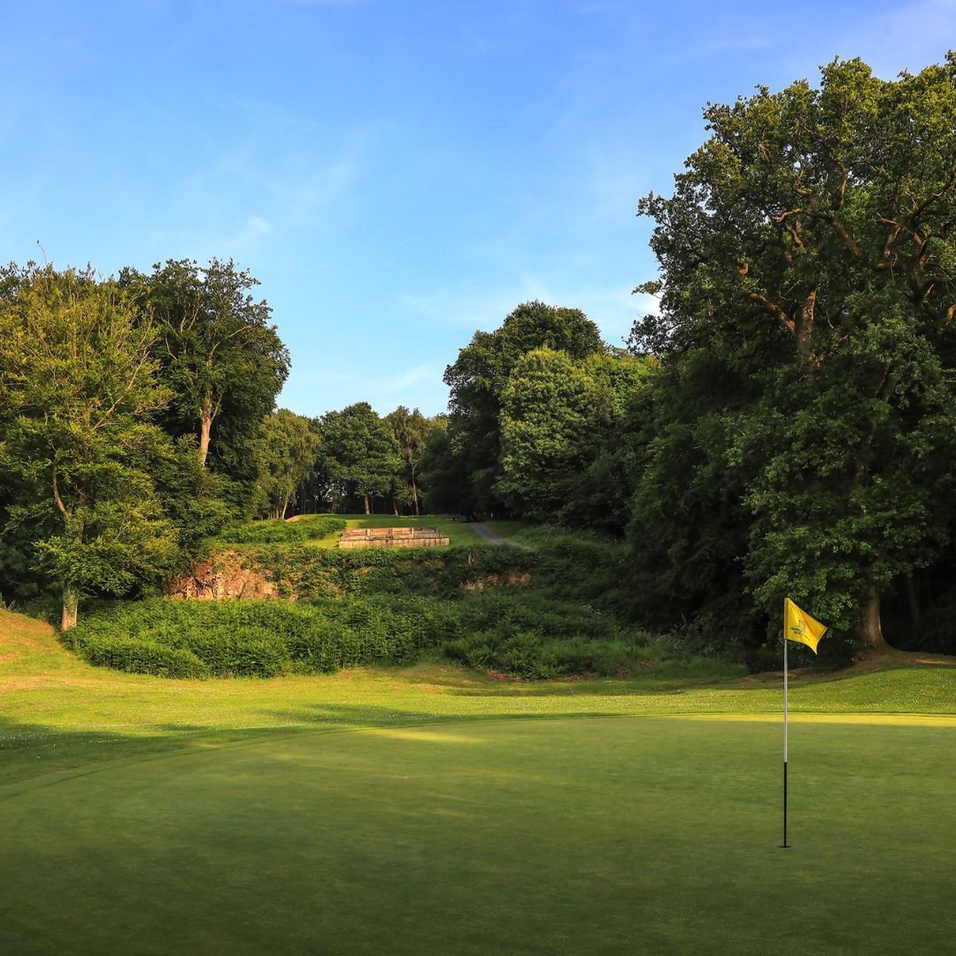 Mannings Heath.jpg
