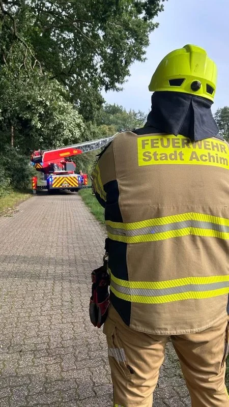 Ast droht auf Fahrbahn zu fallen