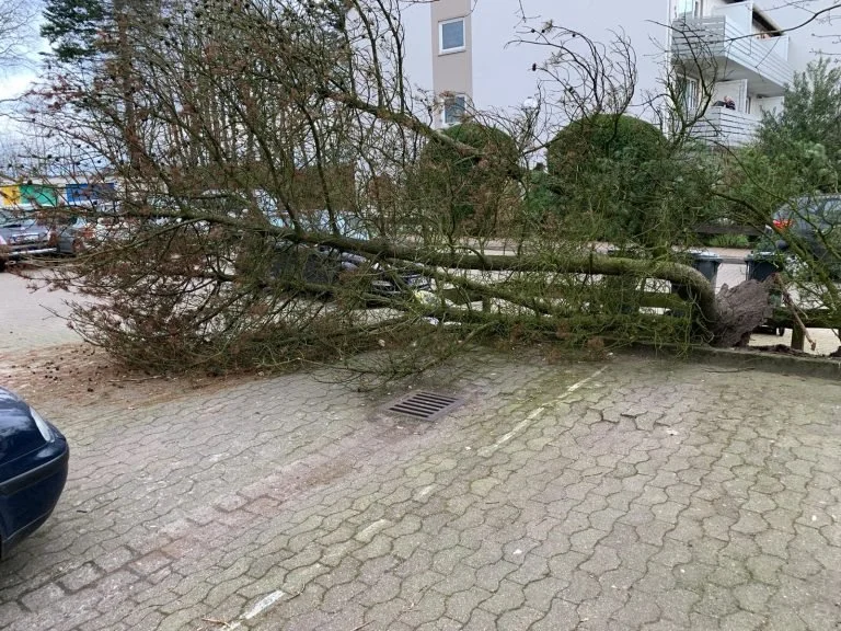 Sturm Sabine Teil 1