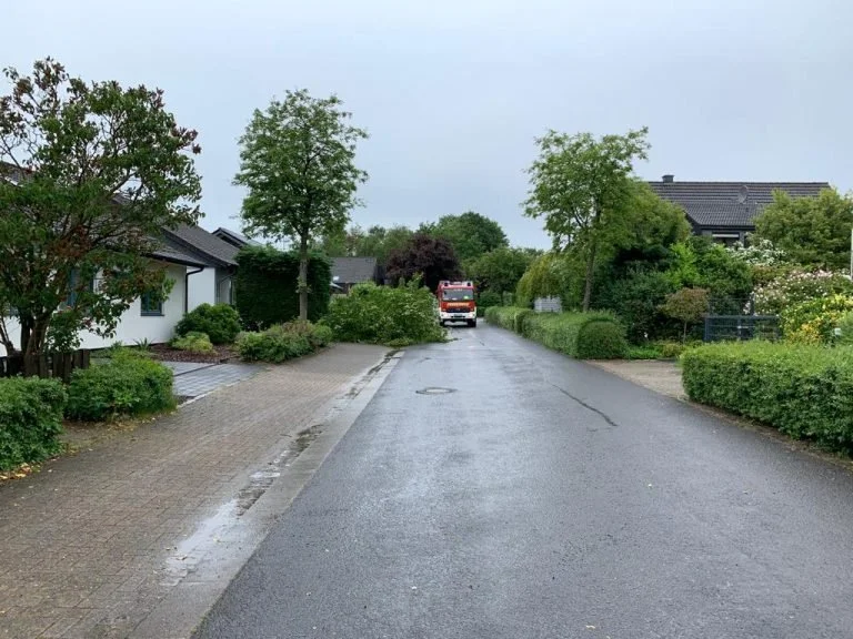 Sturmschaden Veilchenweg