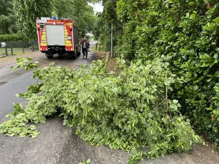 Sturmschaden Schwedenschanze