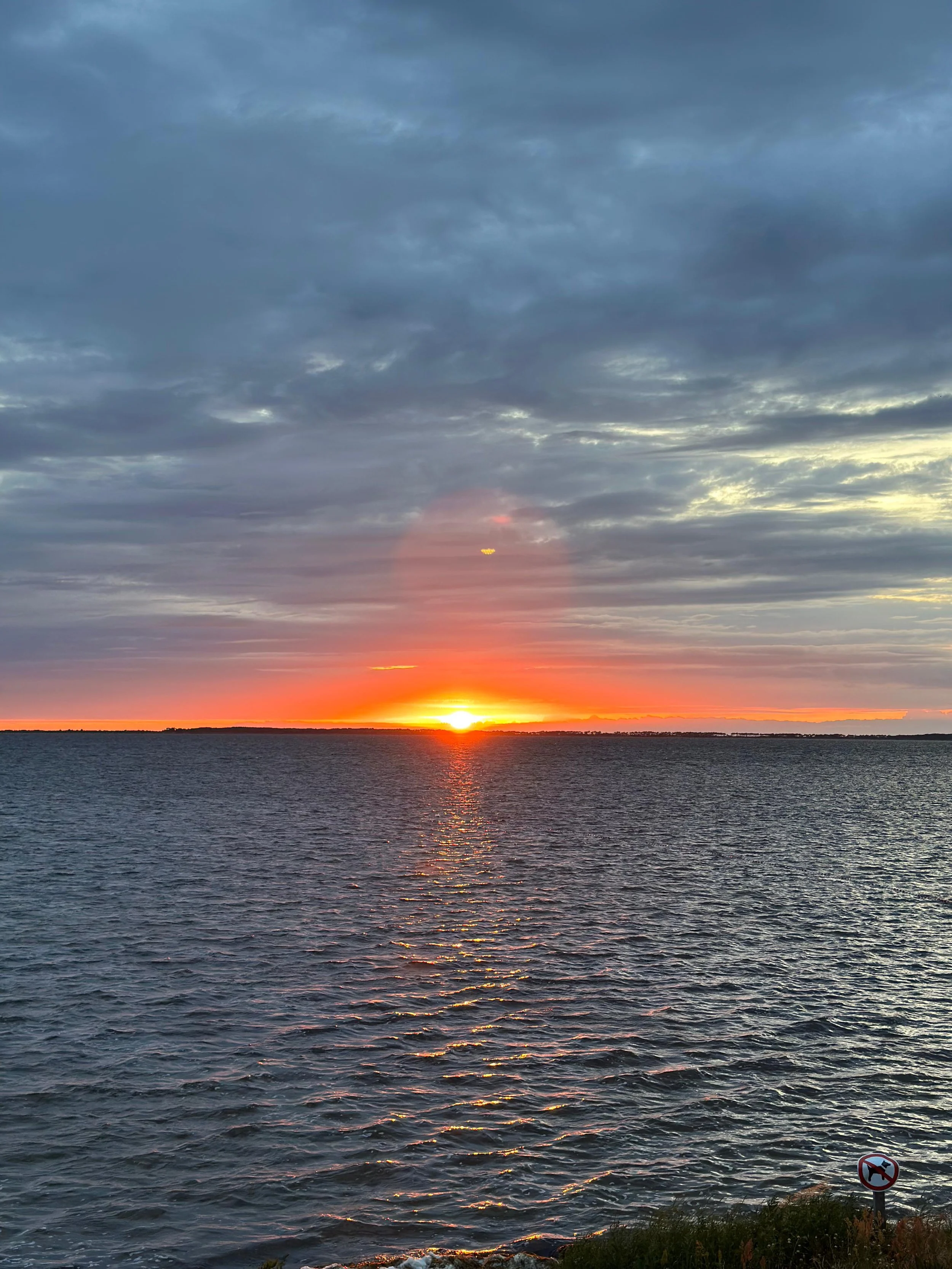 WhatsApp Image 2025-09-03 at 08.04.05 (1).jpeg