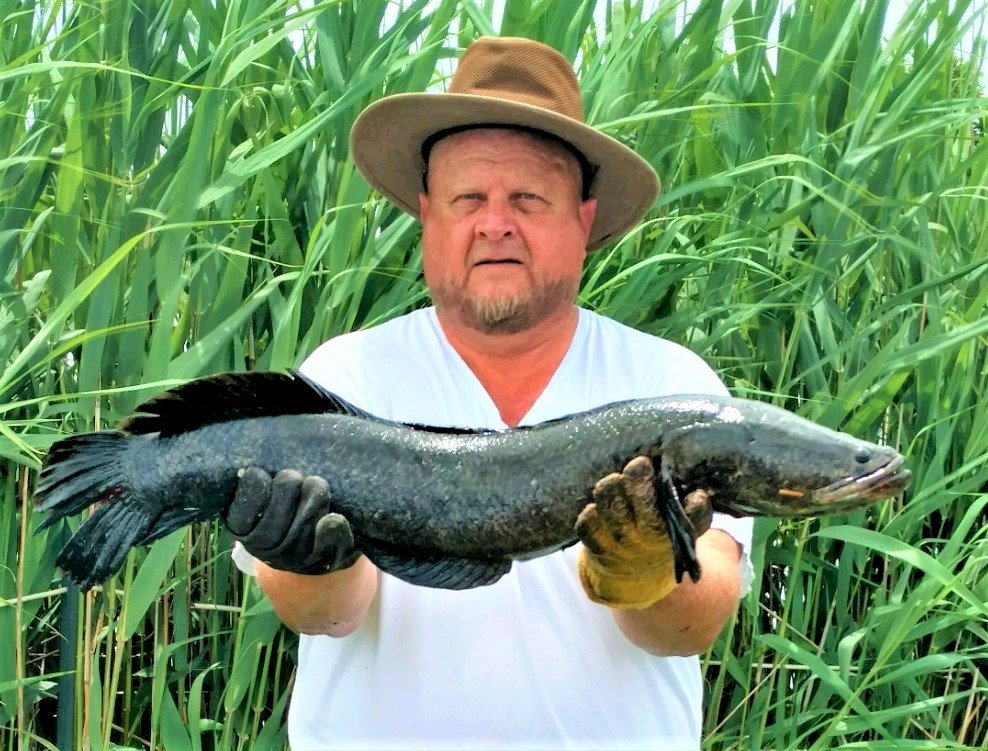 MHQ_SP19 Ken Kunz Snakehead 2 (2).jpeg