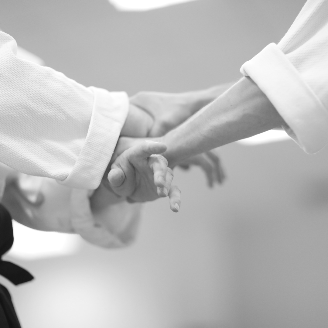 Aikido als systemische Praxis der Kommunikation