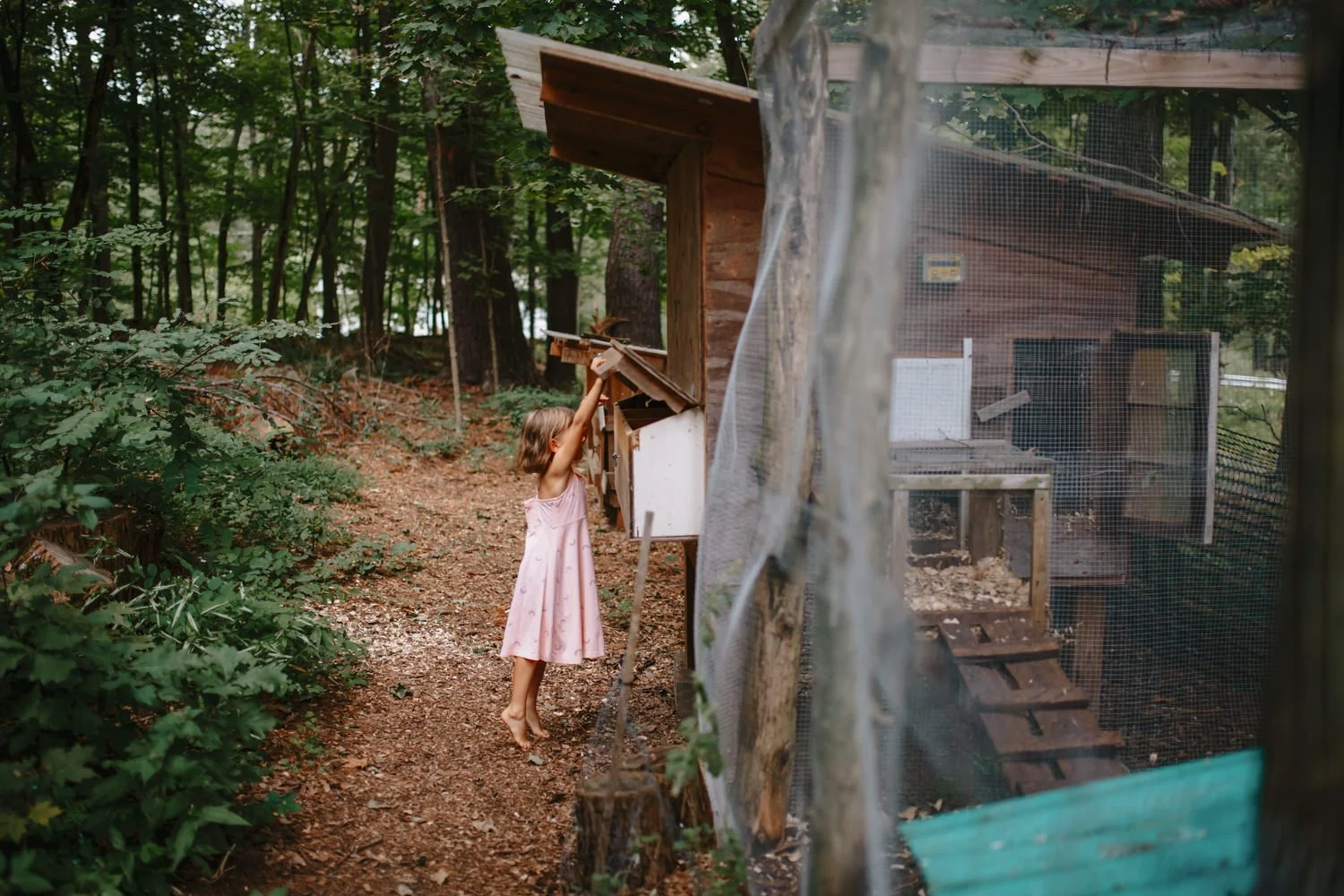 A young girl in a pink dress standing on a dirt path in a wooded area, reaching up to a wooden birdhouse attached to a tree, with a chicken coop visible behind a screen on the right side.