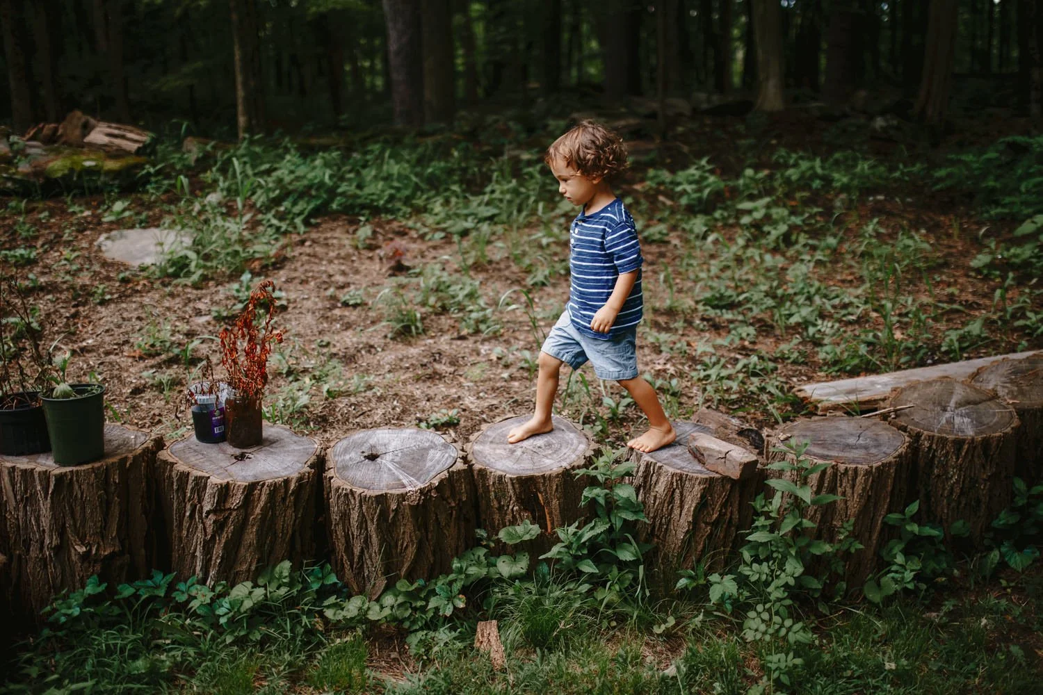Young boy in blue striped shirt and shorts walking barefoot on cut tree logs in a forested area, with small potted plants placed on logs.