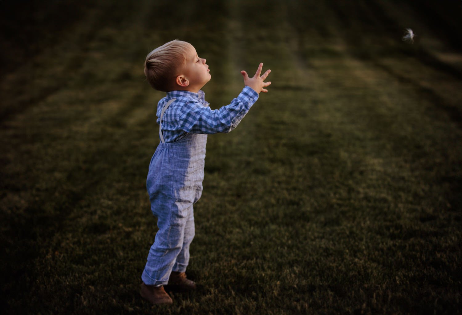 A young boy in plaid shirt and overalls reaching up towards a small object in the air outdoors at dusk or dawn.
