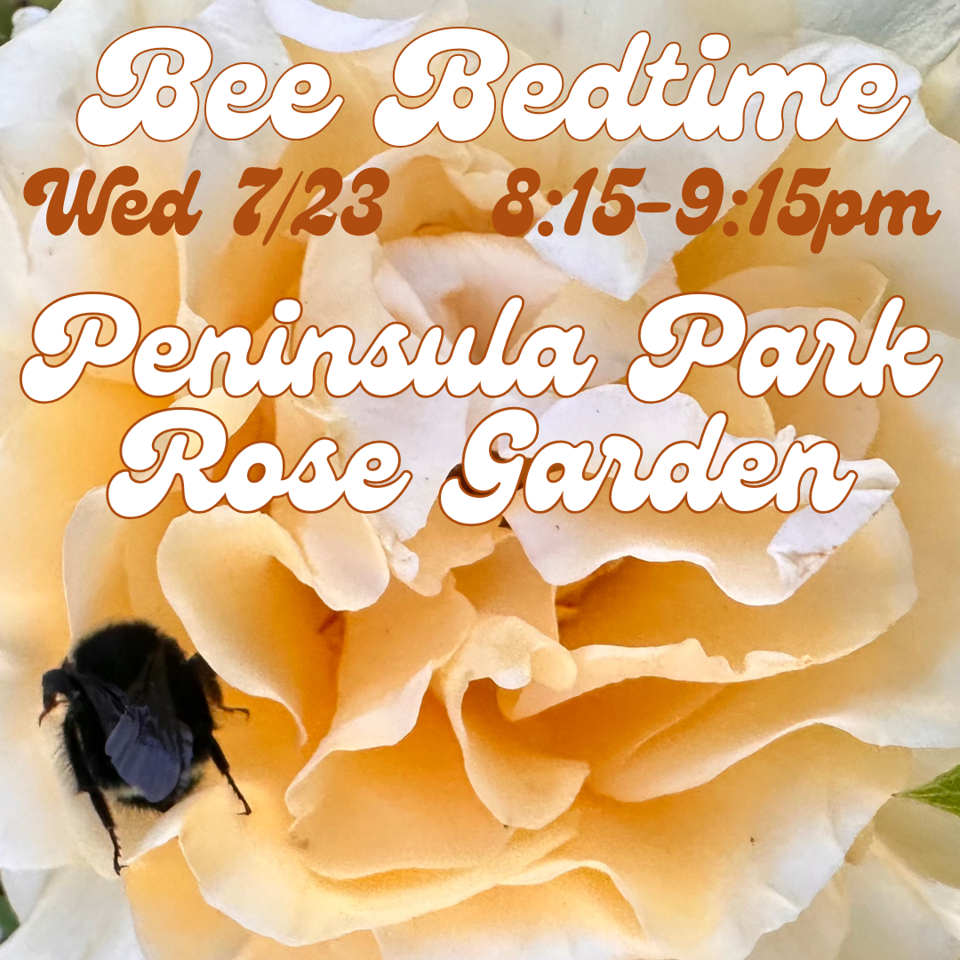 Bee Bedtime