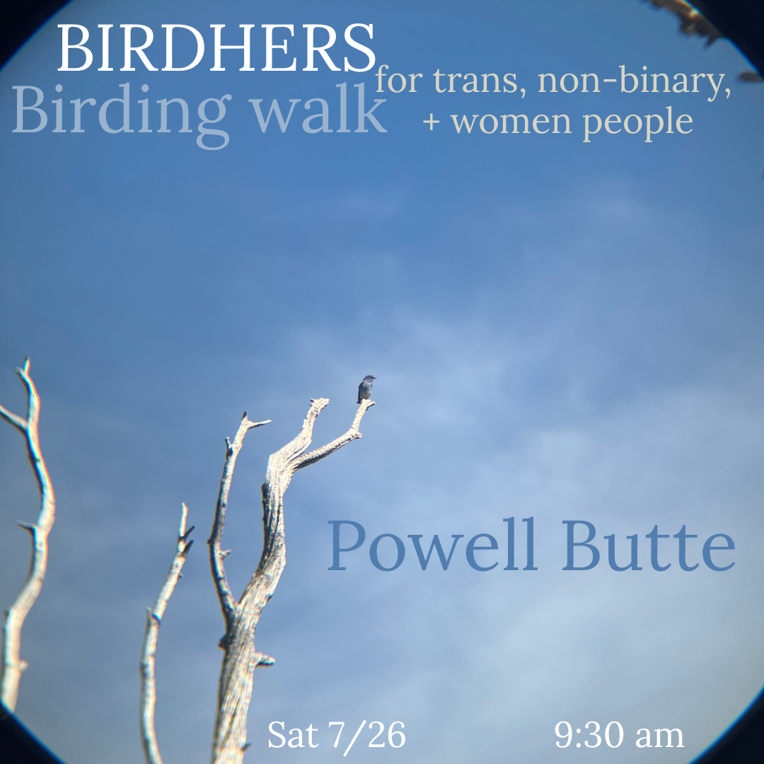 Birding walk