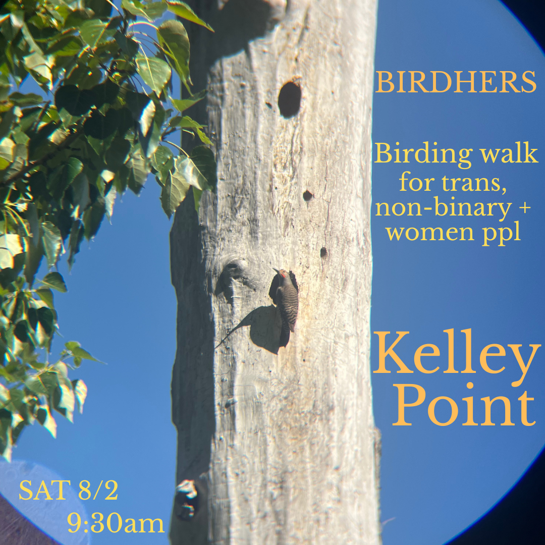 Birding walk