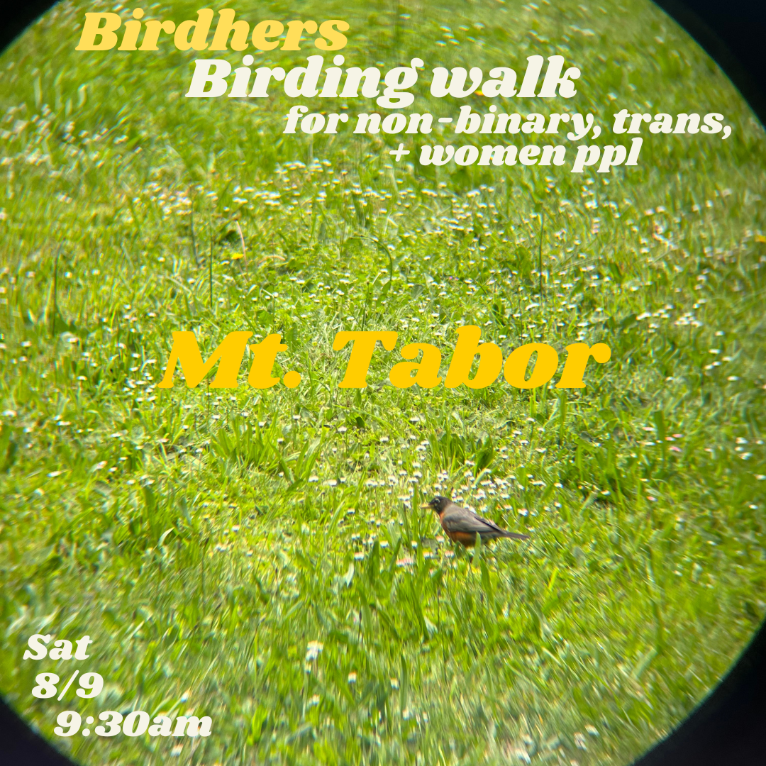 Birding walk