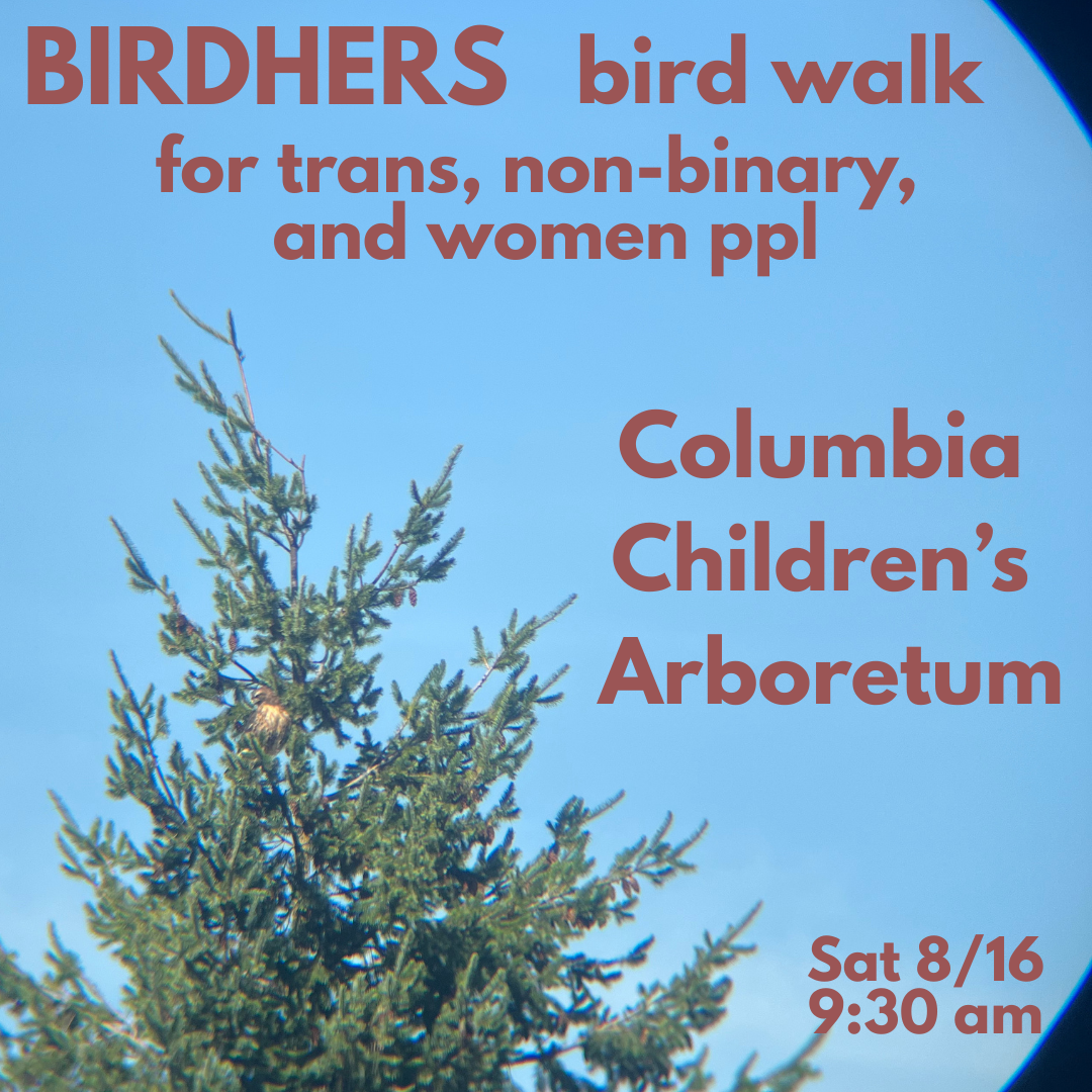 Birding walk