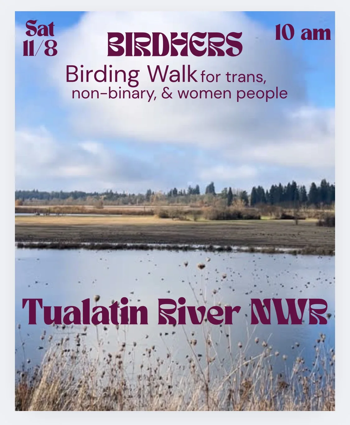 Birding walk 