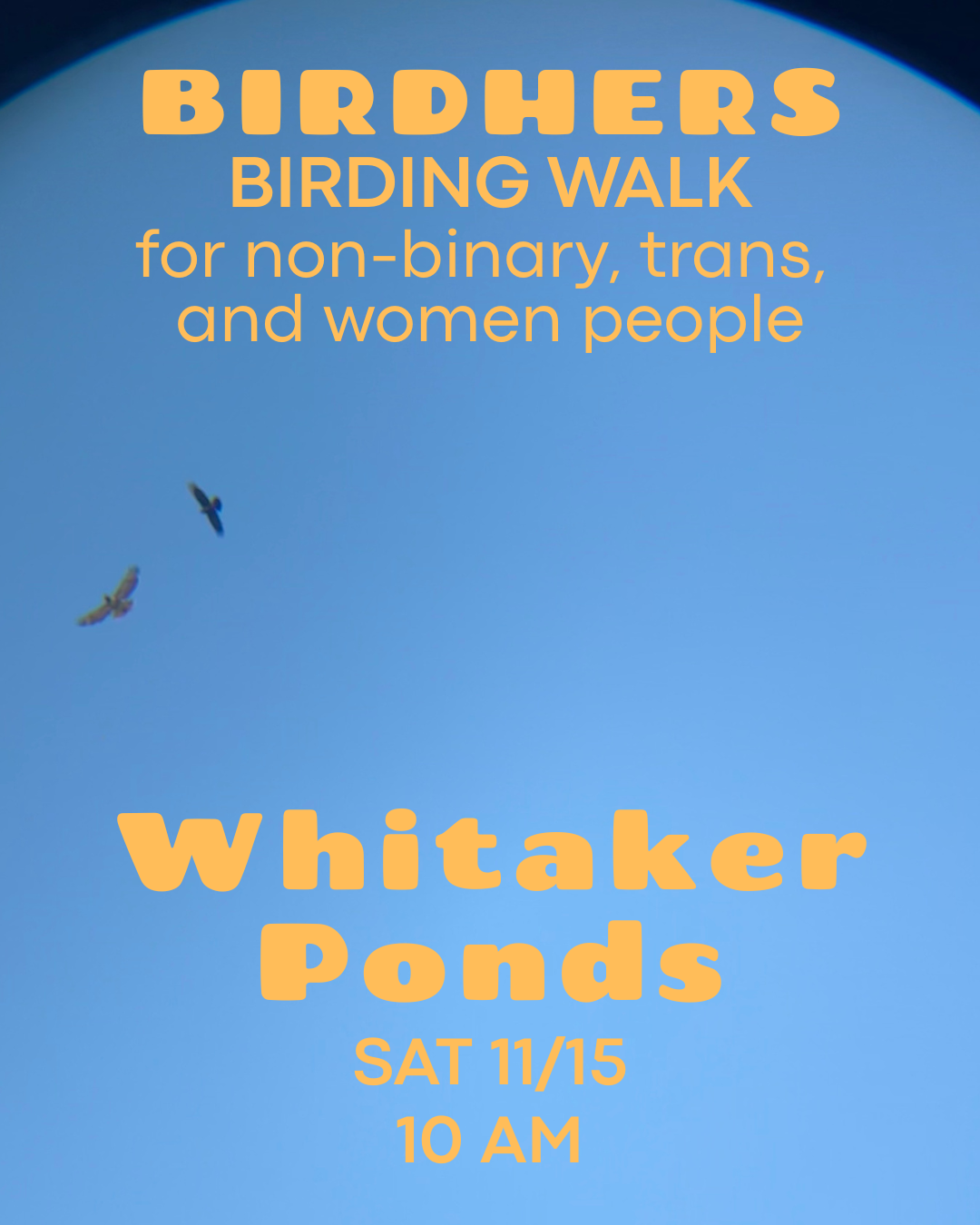 Birding walk 