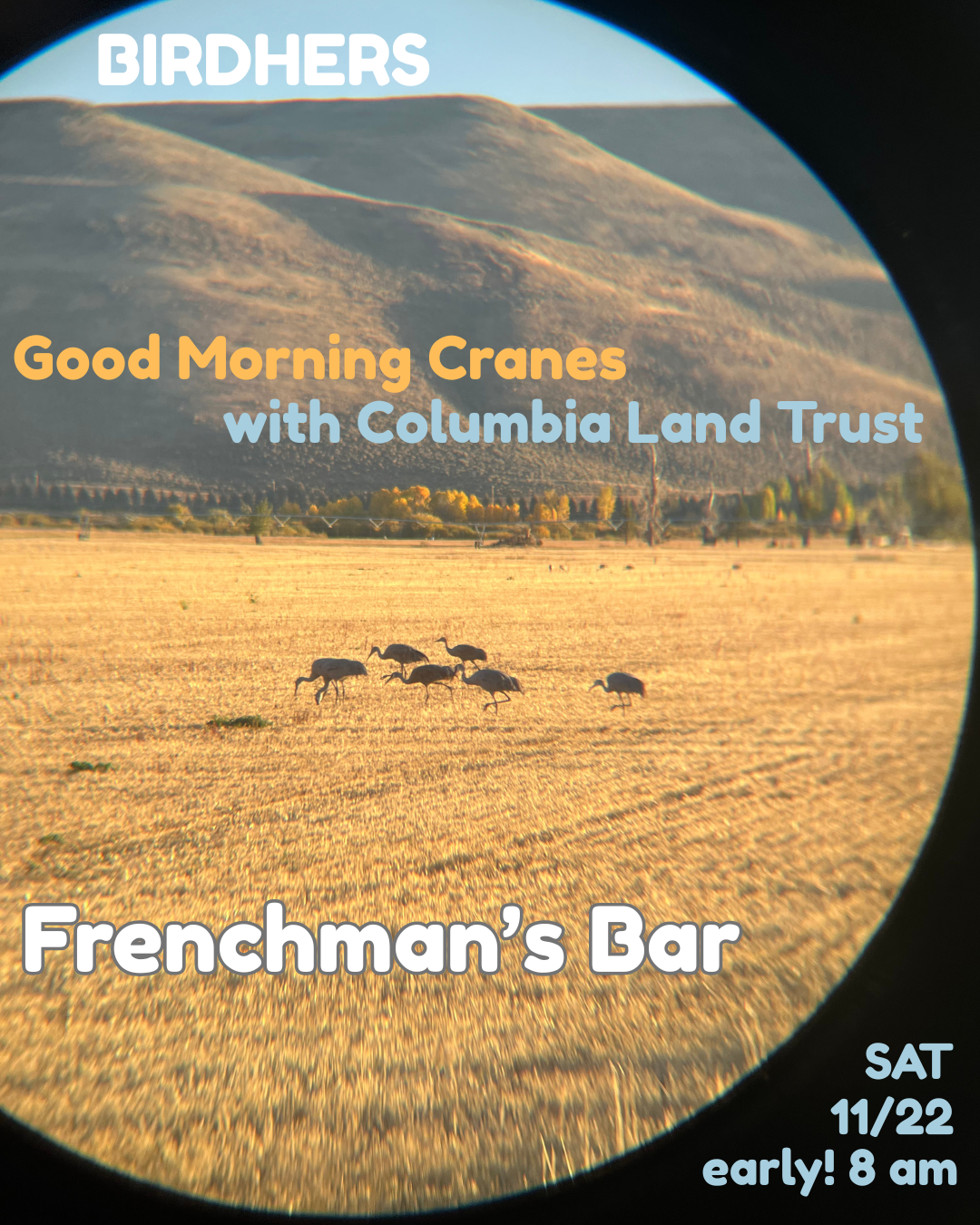 Good Morning Cranes with Columbia Land Trust