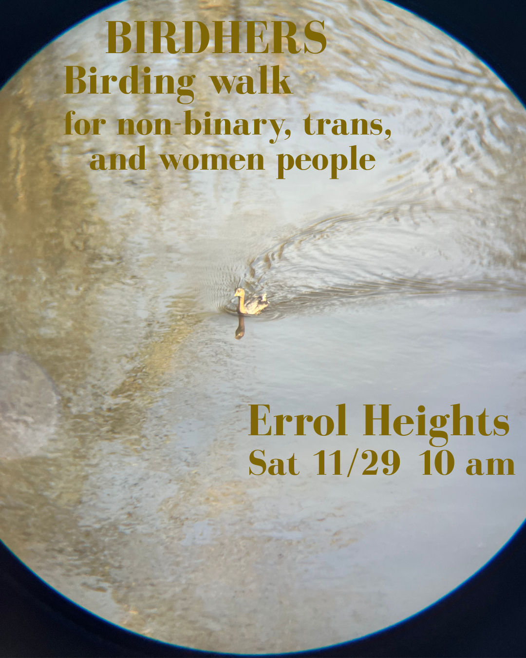 Birding walk 