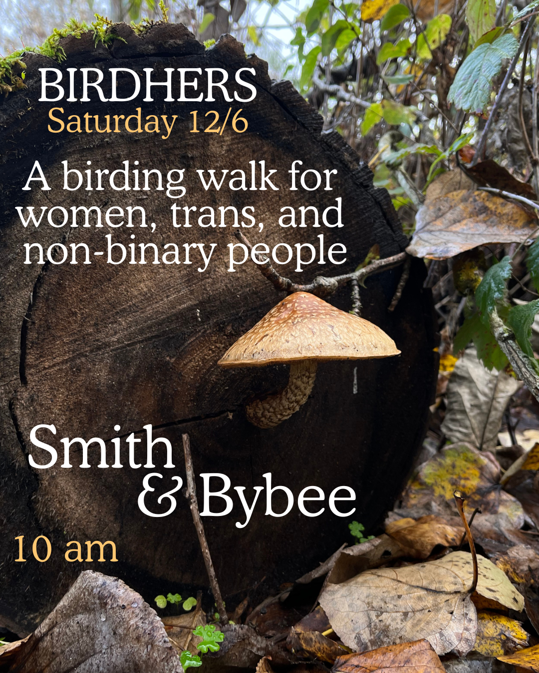 Birding walk