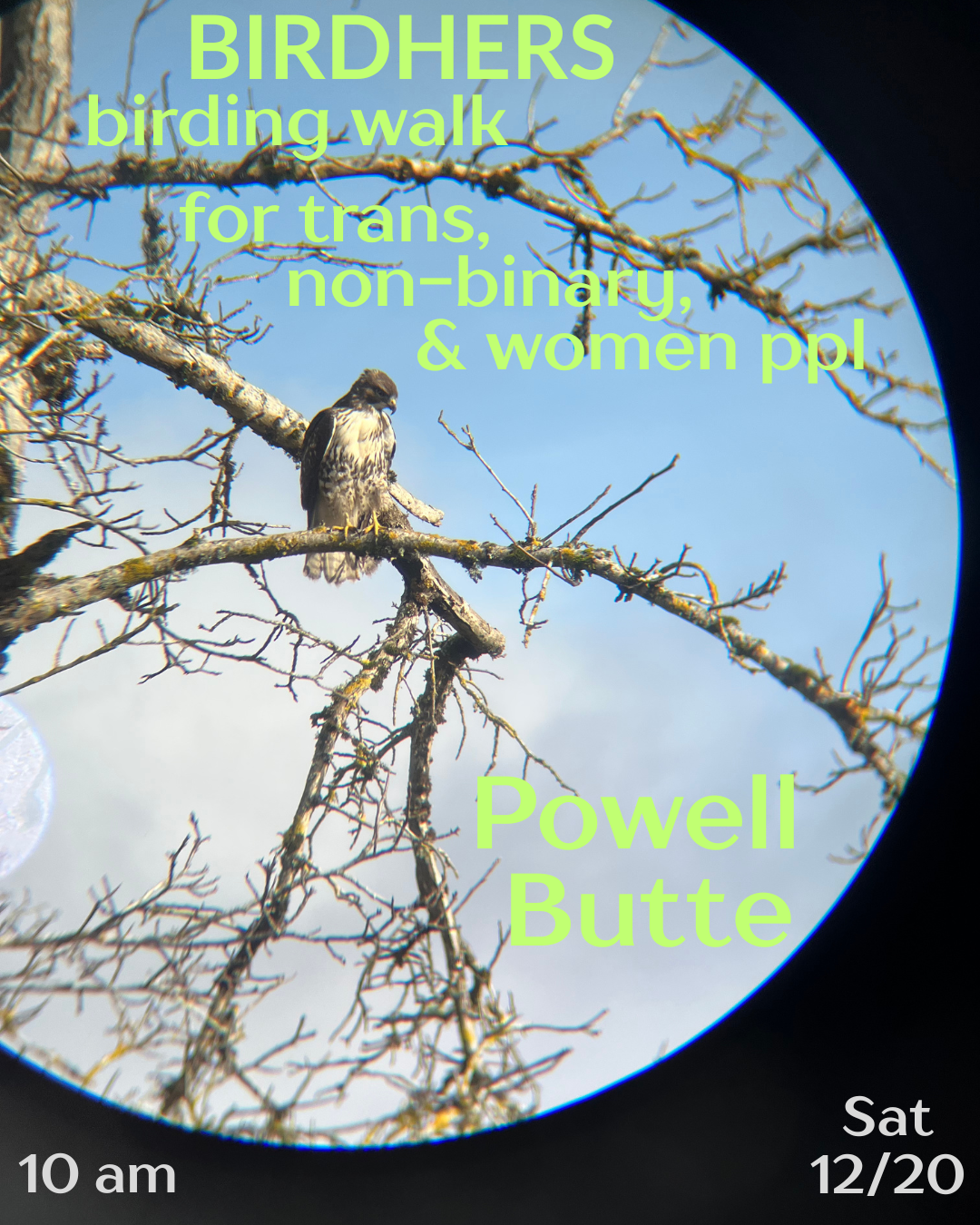 Birding walk 