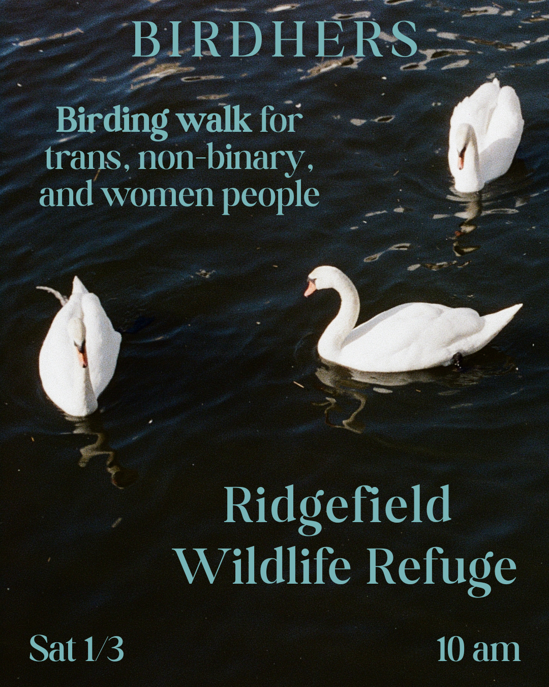 Birding walk 