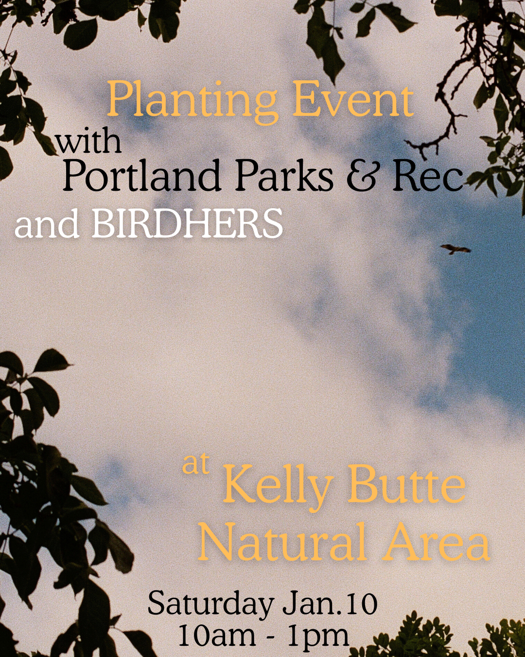 Planting Event with Portland Parks &amp; Rec 