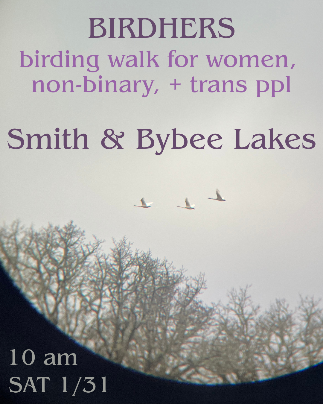 Birding walk