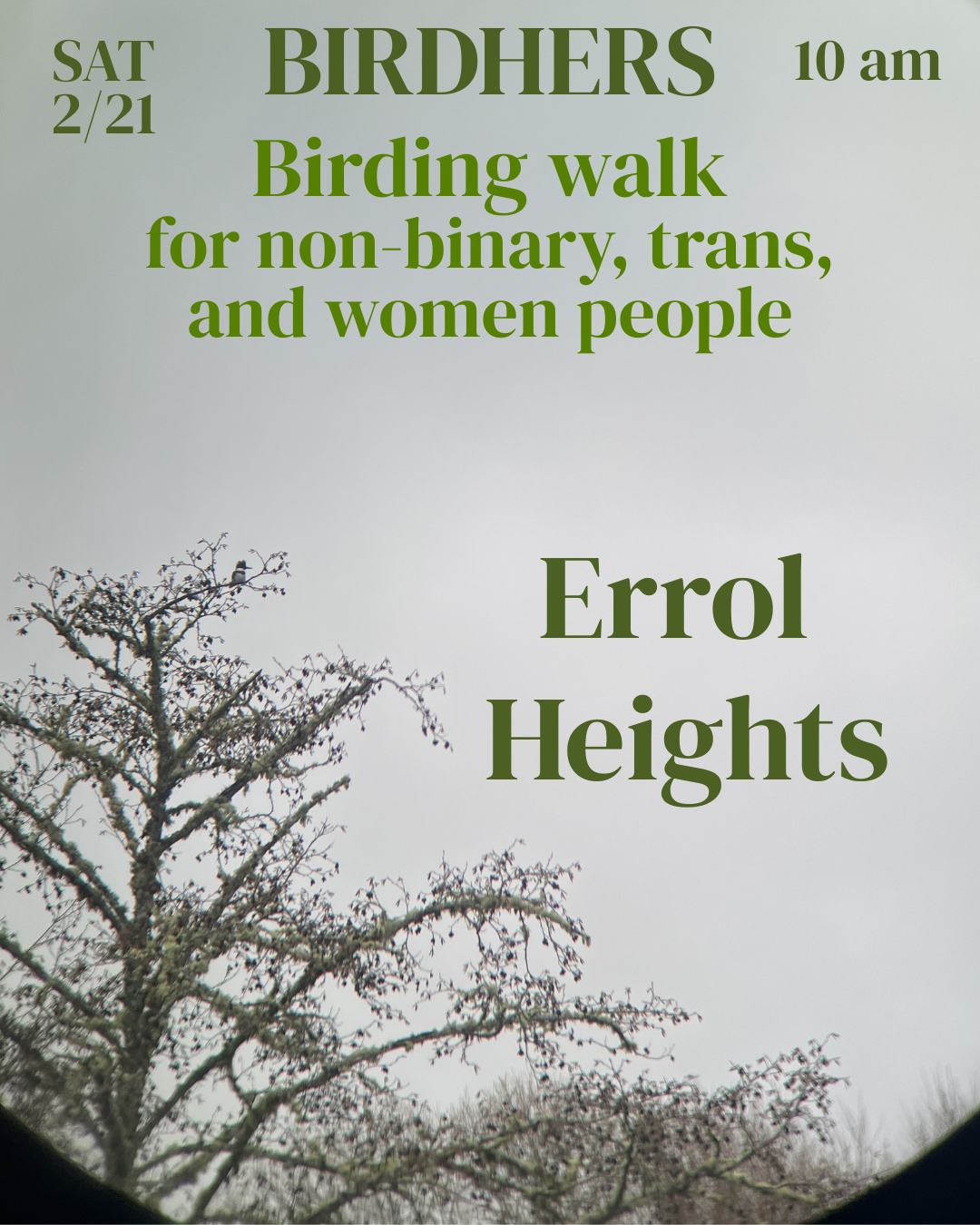 Birding walk 