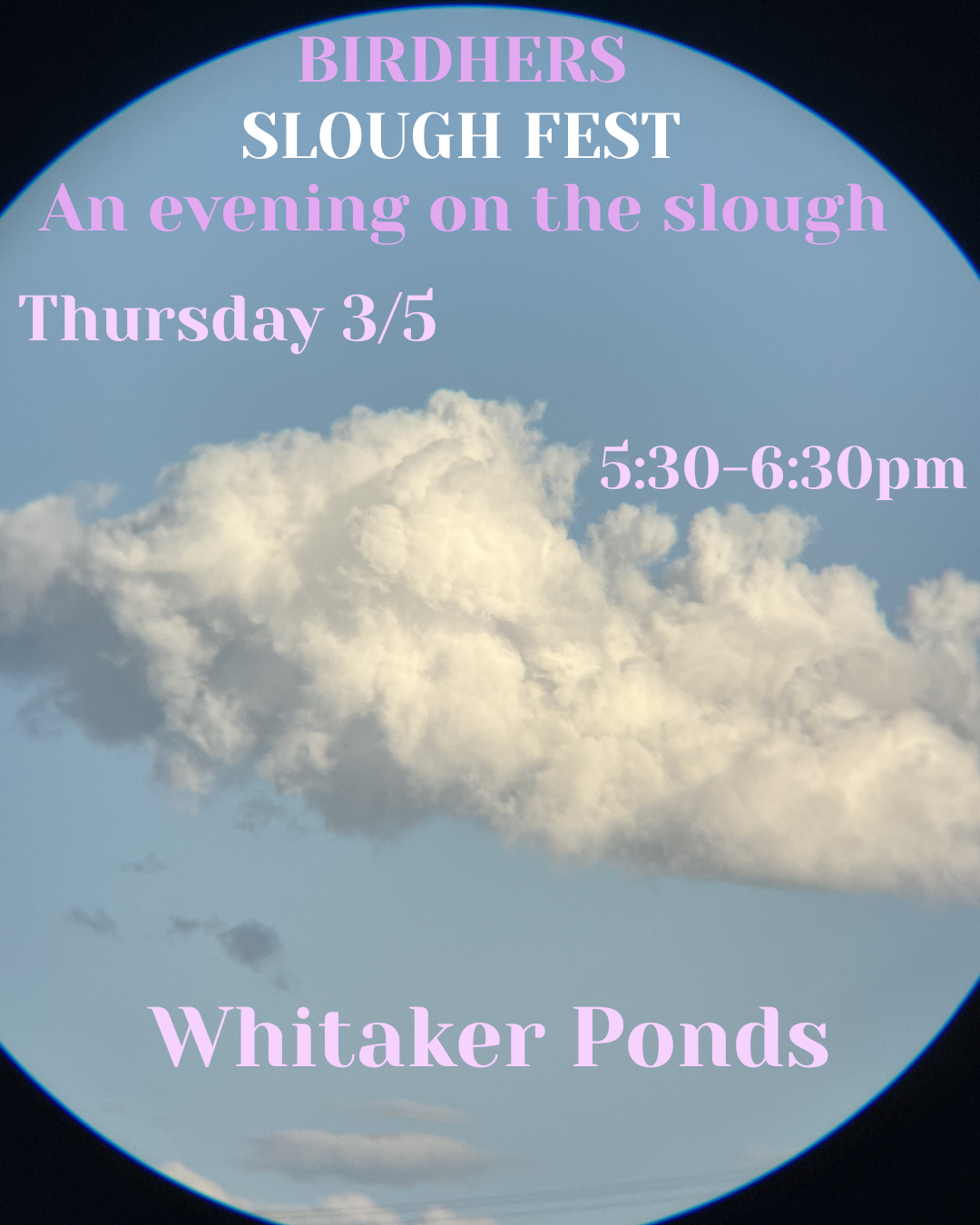 Slough Fest Birding walk 